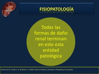 Nefritis Intersticial. Obed Rubio