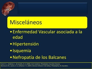 Nefritis Intersticial. Obed Rubio