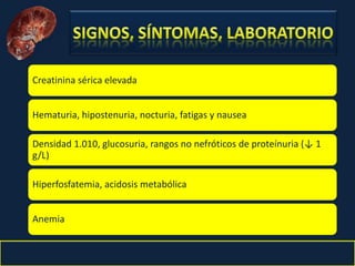 Nefritis Intersticial. Obed Rubio