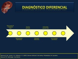 Nefritis Intersticial. Obed Rubio