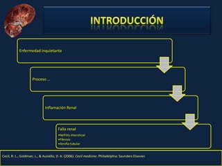Nefritis Intersticial. Obed Rubio