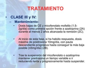TRATAMIENTO
•

CLASE III y IV:
–

Mantenimiento:
•

Dosis bajas de CE y micofenolato mofetilo (1.52g/día) como primera opción frente a azatioprina (2A)
durante al menos 2 años alcanzada la remisión (2C).

•

Al inicio de esta fase, si ha habido respuesta, dosis
máxima de prednisona 10mg/día, con pauta
descendiente progresiva hasta conseguir la más baja
posible (≤5mg/día) (2B).

•

Tras la suspensión del micofenolato o azatioprina
mantener prednisona un tiempo variable e ir
reduciendo lenta y progresivamente hasta suspender.

 