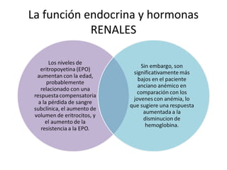 La función endocrina y hormonas
RENALES
 