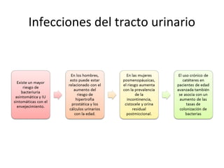 Infecciones del tracto urinario
 