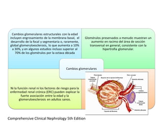 Comprehensive Clinical Nephrology 5th Edition
 