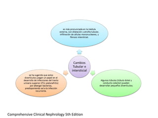 Comprehensive Clinical Nephrology 5th Edition
 