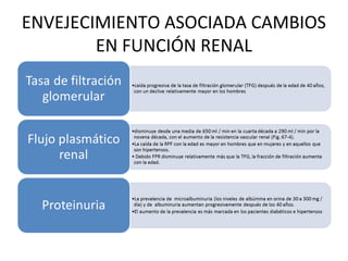 ENVEJECIMIENTO ASOCIADA CAMBIOS
EN FUNCIÓN RENAL
 