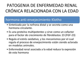 PATOGENIA DE ENFERMEDAD RENAL
CRÓNICA RELACIONADA CON LA EDAD
 