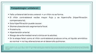 Nefrología -Embriología .pdf.pdf…………….. | PDF
