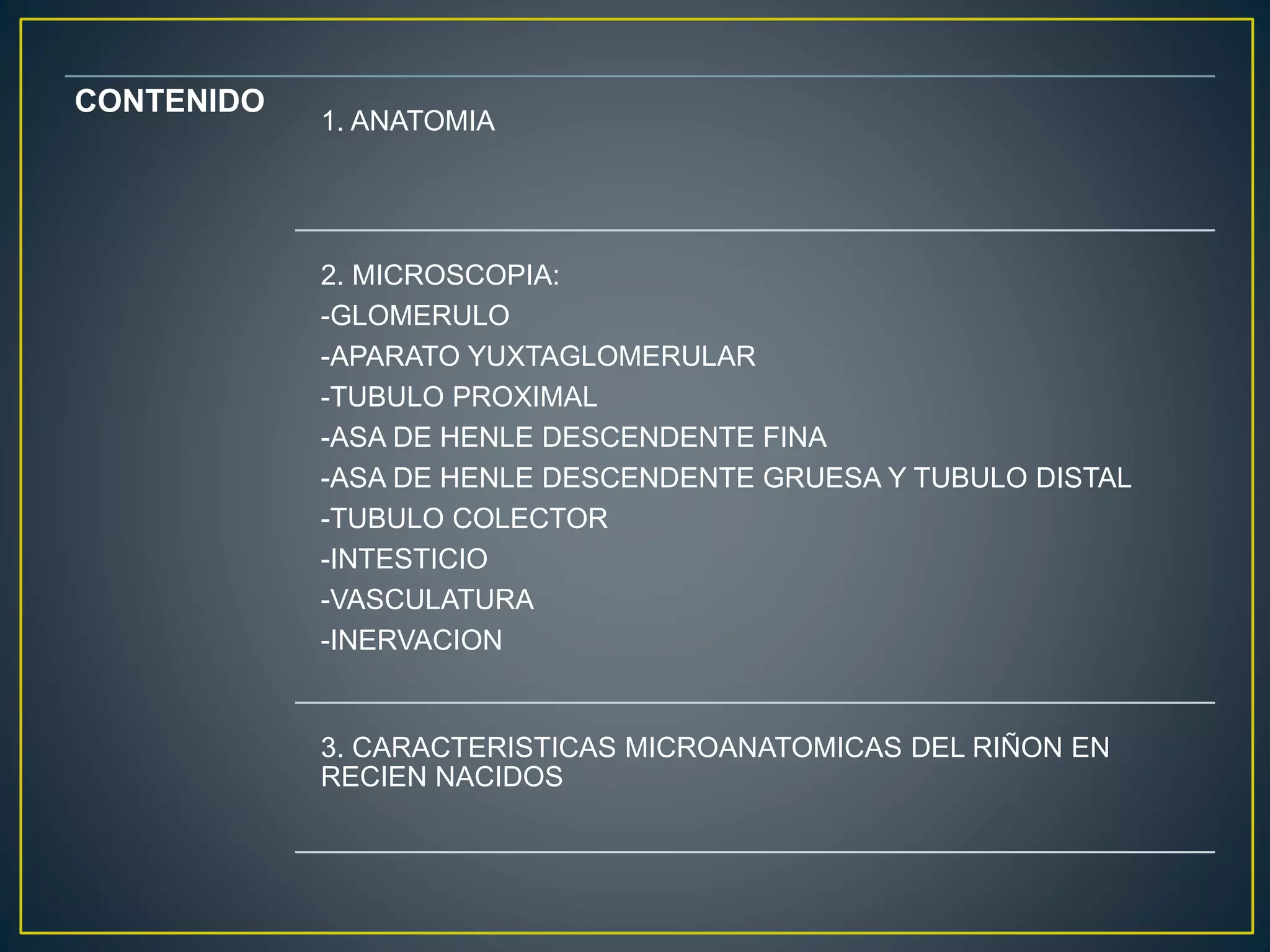 CONTENIDO
1. ANATOMIA
2. MICROSCOPIA:
-GLOMERULO
-APARATO YUXTAGLOMERULAR
-TUBULO PROXIMAL
-ASA DE HENLE DESCENDENTE FINA
-ASA DE HENLE DESCENDENTE GRUESA Y TUBULO DISTAL
-TUBULO COLECTOR
-INTESTICIO
-VASCULATURA
-INERVACION
3. CARACTERISTICAS MICROANATOMICAS DEL RIÑON EN
RECIEN NACIDOS
 
