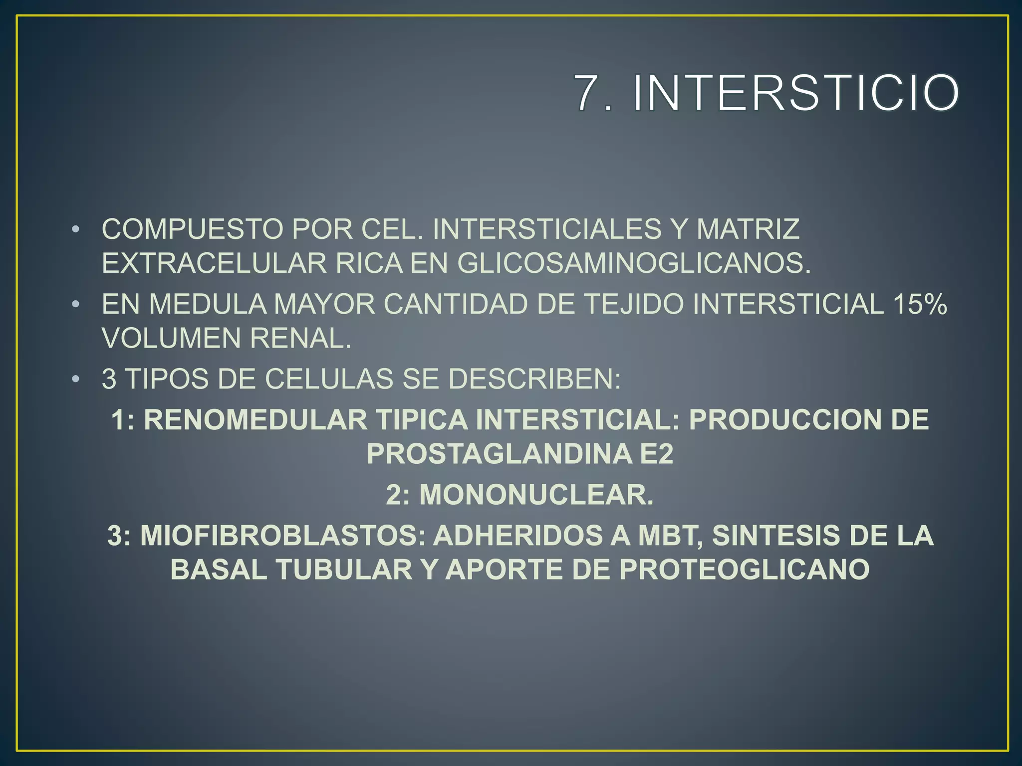 • COMPUESTO POR CEL. INTERSTICIALES Y MATRIZ
EXTRACELULAR RICA EN GLICOSAMINOGLICANOS.
• EN MEDULA MAYOR CANTIDAD DE TEJIDO INTERSTICIAL 15%
VOLUMEN RENAL.
• 3 TIPOS DE CELULAS SE DESCRIBEN:
1: RENOMEDULAR TIPICA INTERSTICIAL: PRODUCCION DE
PROSTAGLANDINA E2
2: MONONUCLEAR.
3: MIOFIBROBLASTOS: ADHERIDOS A MBT, SINTESIS DE LA
BASAL TUBULAR Y APORTE DE PROTEOGLICANO
 