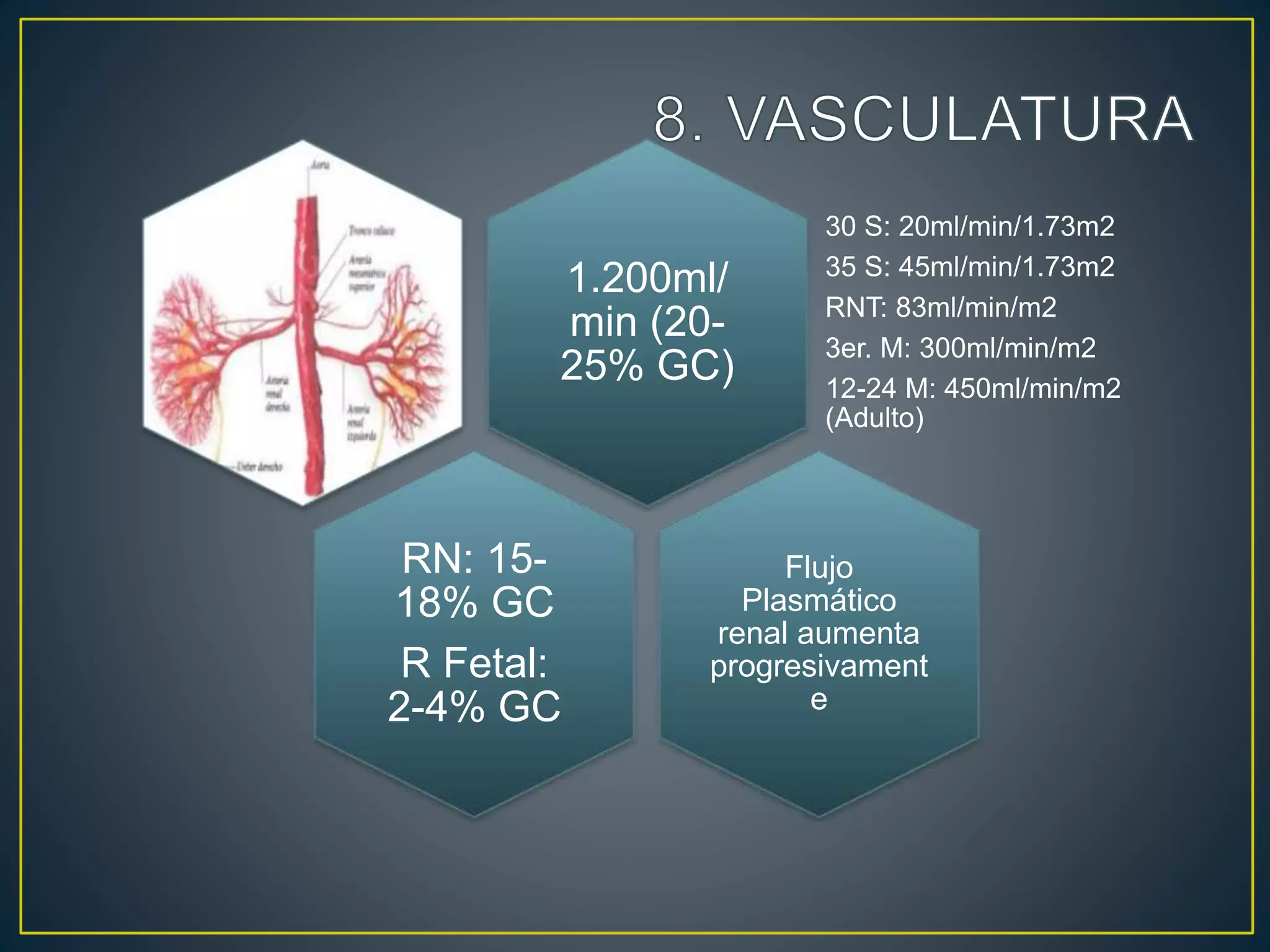 1.200ml/
min (20-
25% GC)
30 S: 20ml/min/1.73m2
35 S: 45ml/min/1.73m2
RNT: 83ml/min/m2
3er. M: 300ml/min/m2
12-24 M: 450ml/min/m2
(Adulto)
RN: 15-
18% GC
R Fetal:
2-4% GC
Flujo
Plasmático
renal aumenta
progresivament
e
 