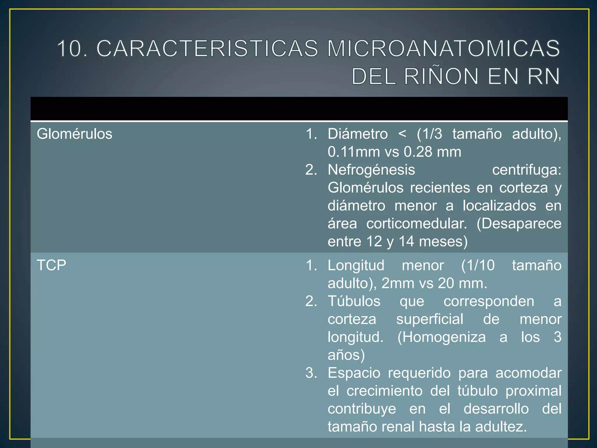 Glomérulos 1. Diámetro < (1/3 tamaño adulto),
0.11mm vs 0.28 mm
2. Nefrogénesis centrifuga:
Glomérulos recientes en corteza y
diámetro menor a localizados en
área corticomedular. (Desaparece
entre 12 y 14 meses)
TCP 1. Longitud menor (1/10 tamaño
adulto), 2mm vs 20 mm.
2. Túbulos que corresponden a
corteza superficial de menor
longitud. (Homogeniza a los 3
años)
3. Espacio requerido para acomodar
el crecimiento del túbulo proximal
contribuye en el desarrollo del
tamaño renal hasta la adultez.
 