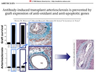 Graft survival Arteriosclerosis 