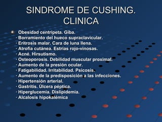 SINDROME DE CUSHING.SINDROME DE CUSHING.
CLINICACLINICA
Obesidad centrípeta. Giba.Obesidad centrípeta. Giba.
· Borramiento del hueco supraclavicular.· Borramiento del hueco supraclavicular.
· Eritrosis malar. Cara de luna llena.· Eritrosis malar. Cara de luna llena.
· Atrofia cutánea. Estrías rojo-vinosas.· Atrofia cutánea. Estrías rojo-vinosas.
· Acné. Hirsutismo.· Acné. Hirsutismo.
· Osteoporosis. Debilidad muscular proximal.· Osteoporosis. Debilidad muscular proximal.
· Aumento de la presión ocular.· Aumento de la presión ocular.
· Fatigabilidad. Irritabilidad. Psicosis.· Fatigabilidad. Irritabilidad. Psicosis.
· Aumento de la predisposición a las infecciones.· Aumento de la predisposición a las infecciones.
· Hipertensión arterial.· Hipertensión arterial.
· Gastritis. Úlcera péptica.· Gastritis. Úlcera péptica.
· Hiperglucemia. Dislipidemia.· Hiperglucemia. Dislipidemia.
· Alcalosis hipokalémica· Alcalosis hipokalémica
 