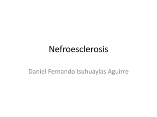 Nefroesclerosis
Daniel Fernando Isuhuaylas Aguirre
 
