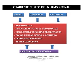 GRADIENTE CLINICO DE LA LITIASIS RENAL
TAMAÑO LOCALIZACIONCOMPOSICION
PATOLOGIA UROLOGICA ASOCIADA
- ASINTOMATICA
- HEMATURIAS TOTALES ESPORADICAS
- INFECCIONES URINARIAS RECIDIVANTES
- DOLOR LUMBAR SORDO Y CONTINUO
- CRISIS RENOURETERAL
- ANURIA CALCULOSA
T Diseases of the Kidney & Urinary Tract, 8th Edition
Copyright Â©2007Avendaño. Nefrología Clínica. 2a Edición,
España 2003
 