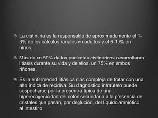 La cistinuria es la responsable de aproximadamente el 1-
3% de los cálculos renales en adultos y el 6-10% en
niños.
Más de un 50% de los pacientes cistinúricos desarrollaran
litiasis durante su vida y de ellos, un 75% en ambos
riñones.
Es la enfermedad litiásica más compleja de tratar con una
alto índice de recidiva. Su diagnóstico intraútero puede
sospecharse por la presencia típica de una
hiperecogenicidad del colon secundaria a la presencia de
cristales que pasan, por deglución, del líquido amniótico
al intestino.
 