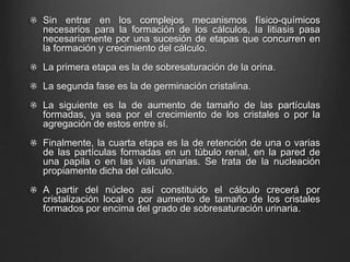 Sin entrar en los complejos mecanismos físico-químicos
necesarios para la formación de los cálculos, la litiasis pasa
necesariamente por una sucesión de etapas que concurren en
la formación y crecimiento del cálculo.
La primera etapa es la de sobresaturación de la orina.
La segunda fase es la de germinación cristalina.
La siguiente es la de aumento de tamaño de las partículas
formadas, ya sea por el crecimiento de los cristales o por la
agregación de estos entre sí.
Finalmente, la cuarta etapa es la de retención de una o varias
de las partículas formadas en un túbulo renal, en la pared de
una papila o en las vías urinarias. Se trata de la nucleación
propiamente dicha del cálculo.
A partir del núcleo así constituido el cálculo crecerá por
cristalización local o por aumento de tamaño de los cristales
formados por encima del grado de sobresaturación urinaria.
 