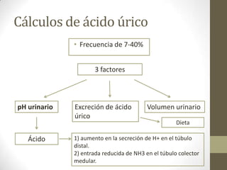 Cálculos de ácido úrico
• Frecuencia de 7-40%
3 factores

pH urinario

Ácido

Excreción de ácido
úrico

Volumen urinario
Dieta

1) aumento en la secreción de H+ en el túbulo
distal.
2) entrada reducida de NH3 en el túbulo colector
medular.

 
