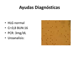 Ayudas Diagnósticas


•   HLG normal
•   Cr:0,8 BUN:16
•   PCR: 3mg/dL
•   Uroanalisis:
 