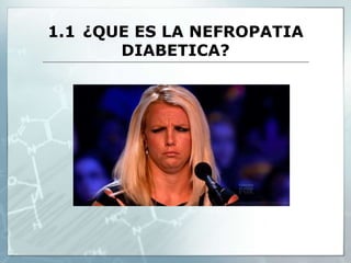 1.1 ¿QUE ES LA NEFROPATIA
DIABETICA?
 