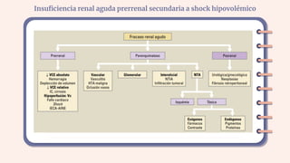 Insuﬁciencia renal aguda prerrenal secundaria a shock hipovolémico
 