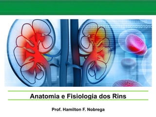 Anatomia e Fisiologia dos Rins
Prof. Hamilton F. Nobrega
 