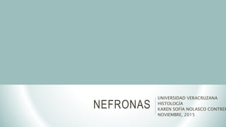 NEFRONAS
UNIVERSIDAD VERACRUZANA
HISTOLOGÍA
KAREN SOFÍA NOLASCO CONTRER
NOVIEMBRE, 2015
 