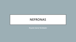 NEFRONAS
Ricardo García Temblador
 