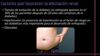 • Tiempo de evolución de la diabetes (la nefropatía aparece en el
50% de los pacientes después de 20 años del comienzo de la
diabetes.)
• Hipertensión (la presencia de hipertensión es el factor de riesgo en
los diabéticos más importante para el desarrollo de nefropatía.)
• Obesidad.
 
