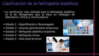 • La clasificación más utilizada para la Nefropatía diabética
es la de Mongensen, que se basa en hallazgos de
laboratorio, clínicos y microscópicos:
 Estadio 1 - Hiperfiltración y Renomegalia
 Estadio 2 - Lesiones glomerulares tempranas.
 Estadio 3 - Nefropatía diabética incipiente.
 Estadio 4 - Nefropatía clínica.
• Estadio 5 - Falla renal terminal.
 