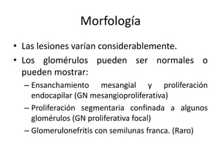 Morfología
• Las lesiones varían considerablemente.
• Los glomérulos pueden ser normales o
pueden mostrar:
– Ensanchamiento mesangial y proliferación
endocapilar (GN mesangioproliferativa)
– Proliferación segmentaria confinada a algunos
glomérulos (GN proliferativa focal)
– Glomerulonefritis con semilunas franca. (Raro)
 