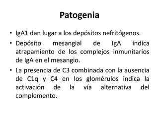 Patogenia
• IgA1 dan lugar a los depósitos nefritógenos.
• Depósito mesangial de IgA indica
atrapamiento de los complejos inmunitarios
de IgA en el mesangio.
• La presencia de C3 combinada con la ausencia
de C1q y C4 en los glomérulos indica la
activación de la vía alternativa del
complemento.
 