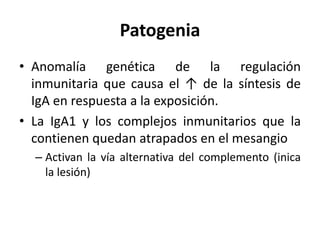 Patogenia
• Anomalía genética de la regulación
inmunitaria que causa el ↑ de la síntesis de
IgA en respuesta a la exposición.
• La IgA1 y los complejos inmunitarios que la
contienen quedan atrapados en el mesangio
– Activan la vía alternativa del complemento (inica
la lesión)
 