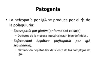 Patogenia
• La nefropatía por IgA se produce por el ↑ de
la polaquiuria:
– Enteropatía por gluten (enfermedad celíaca).
• Defectos de la mucosa intestinal están bien definidos .
– Enfermedad hepática (nefropatía por IgA
secundaria).
• Eliminación hepatobiliar deficiente de los complejos de
IgA.
 