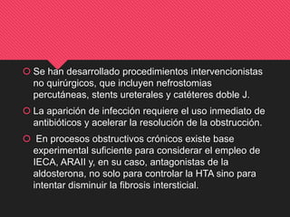  Se han desarrollado procedimientos intervencionistas
no quirúrgicos, que incluyen nefrostomias
percutáneas, stents ureterales y catéteres doble J.
 La aparición de infección requiere el uso inmediato de
antibióticos y acelerar la resolución de la obstrucción.
 En procesos obstructivos crónicos existe base
experimental suficiente para considerar el empleo de
IECA, ARAII y, en su caso, antagonistas de la
aldosterona, no solo para controlar la HTA sino para
intentar disminuir la fibrosis intersticial.
 