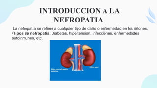 INTRODUCCION A LA
NEFROPATIA
La nefropatía se refiere a cualquier tipo de daño o enfermedad en los riñones.
•Tipos de nefropatía: Diabetes, hipertensión, infecciones, enfermedades
autoinmunes, etc.
 