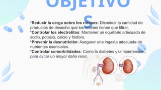 OBJETIVO
S
•Reducir la carga sobre los riñones: Disminuir la cantidad de
productos de desecho que los riñones tienen que filtrar.
•Controlar los electrolitos: Mantener un equilibrio adecuado de
sodio, potasio, calcio y fósforo.
•Prevenir la desnutrición: Asegurar una ingesta adecuada de
nutrientes esenciales.
•Controlar comorbilidades: Como la diabetes y la hipertensión,
para evitar un mayor daño renal.
 