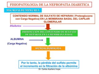 FISIOPATOLOGIA DE LA NEFROPATIA DIABETICA
MICROALBUMINURIA
    CONTENIDO NORMAL DE SULFATO DE HEPARAN ( Proteoglucano
    ...