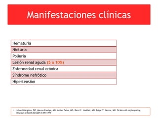 Manifestaciones clínicas
1. ichard Gargiulo, DO, Mauna Pandya, MD, Amber Seba, MD, Rami Y. Haddad, MD, Edgar V. Lerma, MD. Sickle cell nephropathy.
Disease-a-Month 60 (2014) 494–499
Hematuria
Nicturia
Poliuria
Lesión renal aguda (5 a 10%)
Enfermedad renal crónica
Síndrome nefrótico
Hipertensión
 