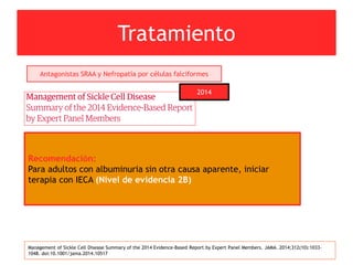 Tratamiento
Management of Sickle Cell Disease Summary of the 2014 Evidence-Based Report by Expert Panel Members. JAMA. 2014;312(10):1033-
1048. doi:10.1001/jama.2014.10517
Antagonistas SRAA y Nefropatía por células falciformes
2014
Recomendación:
Para adultos con albuminuria sin otra causa aparente, iniciar
terapia con IECA (Nivel de evidencia 2B)
 