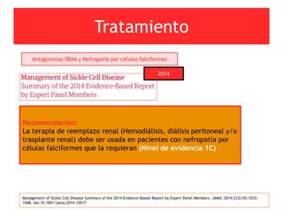 Tratamiento
Management of Sickle Cell Disease Summary of the 2014 Evidence-Based Report by Expert Panel Members. JAMA. 2014;312(10):1033-
1048. doi:10.1001/jama.2014.10517
Antagonistas SRAA y Nefropatía por células falciformes
2014
Recomendación:
La terapia de reemplazo renal (Hemodiálisis, diálisis peritoneal y/o
trasplante renal) debe ser usada en pacientes con nefropatía por
células falciformes que la requieran (Nivel de evidencia 1C)
 