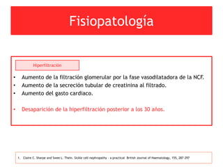 Fisiopatología
• Aumento de la filtración glomerular por la fase vasodilatadora de la NCF.
• Aumento de la secreción tubular de creatinina al filtrado.
• Aumento del gasto cardiaco.
• Desaparición de la hiperfiltración posterior a los 30 años.
Hiperfiltración
1. Claire C. Sharpe and Swee L. Thein. Sickle cell nephropathy – a practical British Journal of Haematology, 155, 287–297
 