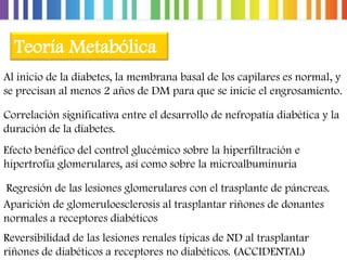 Teoría Metabólica
Al inicio de la diabetes, la membrana basal de los capilares es normal, y
se precisan al menos 2 años de DM para que se inicie el engrosamiento.

Correlación significativa entre el desarrollo de nefropatía diabética y la
duración de la diabetes.
Efecto benéfico del control glucémico sobre la hiperfiltración e
hipertrofia glomerulares, así como sobre la microalbuminuria
Regresión de las lesiones glomerulares con el trasplante de páncreas.
Aparición de glomeruloesclerosis al trasplantar riñones de donantes
normales a receptores diabéticos
Reversibilidad de las lesiones renales típicas de ND al trasplantar
riñones de diabéticos a receptores no diabéticos. (ACCIDENTAL)

 