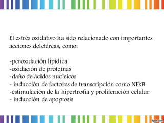 El estrés oxidativo ha sido relacionado con importantes
acciones deletéreas, como:
-peroxidación lipídica
-oxidación de proteínas
-daño de ácidos nucleicos
- inducción de factores de transcripción como NFkB
-estimulación de la hipertrofia y proliferación celular
- inducción de apoptosis

 