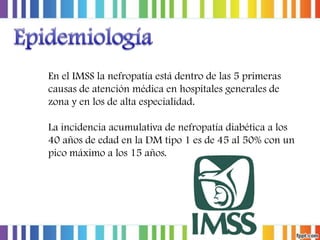 En el IMSS la nefropatía está dentro de las 5 primeras
causas de atención médica en hospitales generales de
zona y en los de alta especialidad.
La incidencia acumulativa de nefropatía diabética a los
40 años de edad en la DM tipo 1 es de 45 al 50% con un
pico máximo a los 15 años.

 
