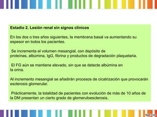 Estadio 2. Lesión renal sin signos clínicos
En los dos o tres años siguientes, la membrana basal va aumentando su
espesor en todos los pacientes.
Se incrementa el volumen mesangial, con depósito de
proteínas, albúmina, IgG, fibrina y productos de degradación plaquetaria.
El FG aún se mantiene elevado, sin que se detecte albúmina en
la orina.
Al incremento mesangial se añadirán procesos de cicatrización que provocarán
esclerosis glomerular.
Prácticamente, la totalidad de pacientes con evolución de más de 10 años de
la DM presentan un cierto grado de glomeruloesclerosis.

 