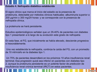 Estadio 4. Nefropatía diabética establecida
El signo clínico que marca el inicio del estadio es la presencia de
proteinuria, detectable por métodos clínicos habituales -albuminuria superior a
200 μg/min o 300 mg/24 horas- y se corresponde con la presencia de
nefropatía clínica.

La proteinuria se hará persistente.
Estudios epidemiológicos señalan que un 35-40% de pacientes con diabetes
tipo 1 presentarán a lo largo de su evolución este grado de nefropatía
En esta fase, el FG, que inicialmente se había elevado, desciende progresiva
e inexorablemente.
Una vez establecida la nefropatía, continúa la caída del FG, con un promedio
de 10 ml/m/año en la diabetes tipo 1.

Un 75% de pacientes desarrollará en los próximos 10 años insuficiencia renal
terminal. Esa progresión quizá sea inferior en pacientes con diabetes tipo
2, aunque la proteinuria persistente es un potente factor de predicción de
insuficiencia renal crónica terminal (IRCT) en estos pacientes.

 