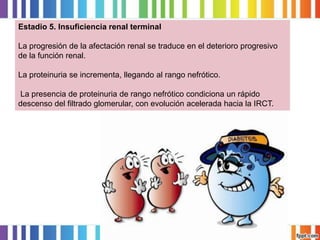 Estadio 5. Insuficiencia renal terminal
La progresión de la afectación renal se traduce en el deterioro progresivo
de la función renal.
La proteinuria se incrementa, llegando al rango nefrótico.
La presencia de proteinuria de rango nefrótico condiciona un rápido
descenso del filtrado glomerular, con evolución acelerada hacia la IRCT.

 